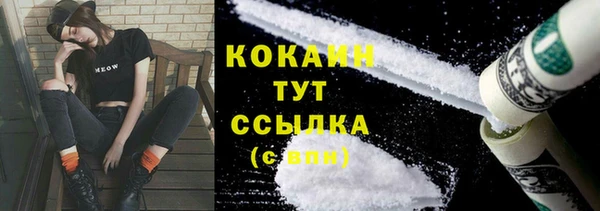 ПСИЛОЦИБИНОВЫЕ ГРИБЫ Баксан