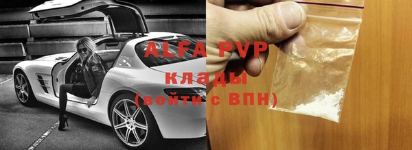 прущие грибы Балахна