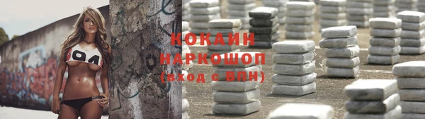 прущие грибы Балахна