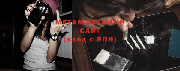 прущие грибы Балахна