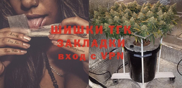 ПСИЛОЦИБИНОВЫЕ ГРИБЫ Баксан