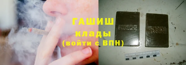 прущие грибы Балахна
