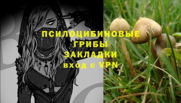 ПСИЛОЦИБИНОВЫЕ ГРИБЫ Баксан