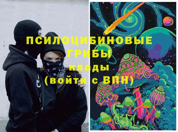 прущие грибы Балахна