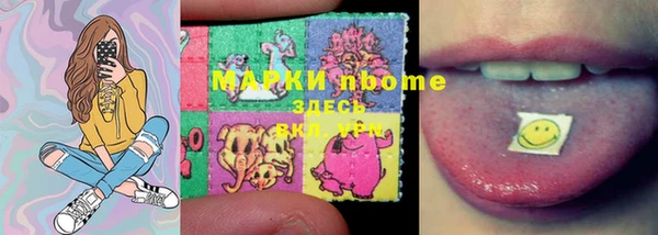 ПСИЛОЦИБИНОВЫЕ ГРИБЫ Баксан