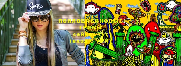 ПСИЛОЦИБИНОВЫЕ ГРИБЫ Баксан