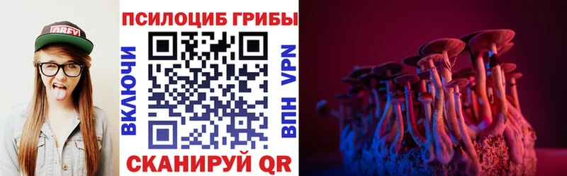 Псилоцибиновые грибы Psilocybine cubensis  Весьегонск 